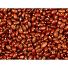 Brown Beans / Atsugi Mame 